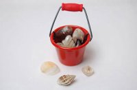 (image for) Mini Pail with Shells