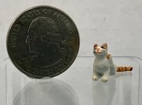 (image for) 1/24th Orange Tabby and White Cat