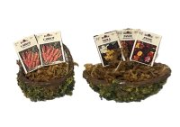 (image for) Two Baskets with Packages of Seeds