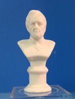Male Bust