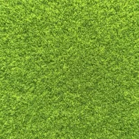 (image for) Grass Lawn