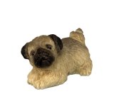Pug (image for) Pug
