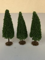 (image for) Medium Spruce Trees/3