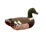 (image for) Mallard Duck