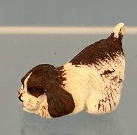 (image for) Puppy (Brown and White)