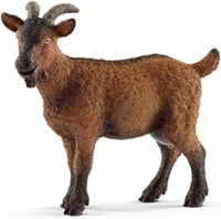 (image for) Goat