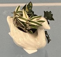 (image for) Swan Pot with Plants