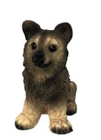 (image for) Husky Puppy