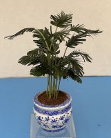 (image for) Potted Parlor Palm in Blue & White Pot