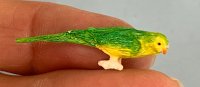 (image for) Green and yellow parrot