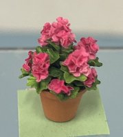 (image for) Pink Geraniums in Clay Pot
