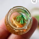 (image for) Fish Bowl with fish (Large)