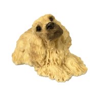 (image for) Cocker Spaniel