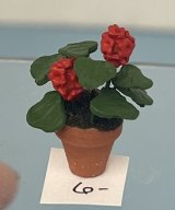 (image for) Red Geraniums in Clay Pot