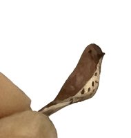 (image for) Tiny Sitting Bird