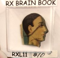 (image for) Brain Book