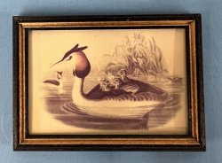Vintage Duck print in a good frame
