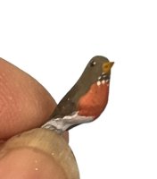 (image for) Robin