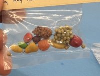 (image for) Bag of Fruits by "All Through the House"