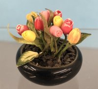 (image for) Tulips in a Black Planter Bowl