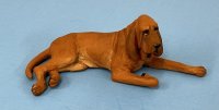 (image for) Redbone Coonhound