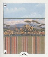 (image for) Safari 232