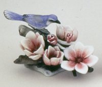 (image for) Scrub Jay and Magnolias