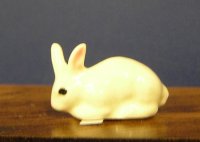 (image for) Small White Bunny