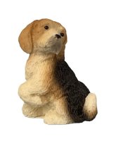 (image for) Puppy Looking over its Shoulder