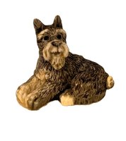 (image for) Schnauzer