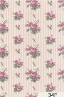 (image for) Rose Stripe 34F