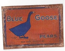 Blue Goose Tin Sign