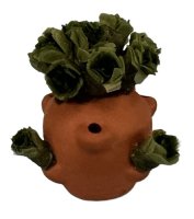 (image for) Succulents in Strawberry Pot