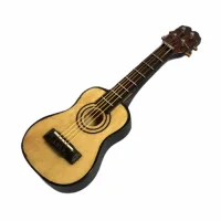 (image for) Acoustic Guitar