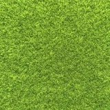 (image for) Grass Lawn