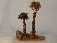 (image for) Pair of Fairy Trees