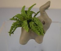 (image for) Elephant Planter with Boston Ferns