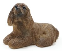 (image for) American Cocker Spaniel