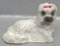 (image for) White Maltese Dog