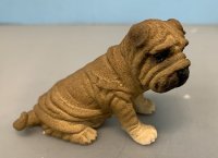 (image for) Shar-Pei Large Dog