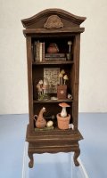 Bookcase for Mushroom Study