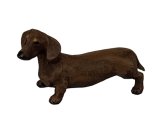 (image for) Dachshund, Brown