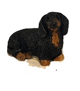 (image for) Dachshund, Small