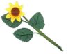 (image for) Single small Sunflower with leaves