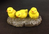 (image for) Baby Chicks on Rock