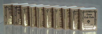 (image for) Nathaniel Hawthorne 10-Book Set