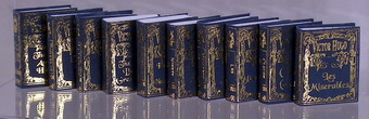 (image for) Victor Hugo 10-Book Set