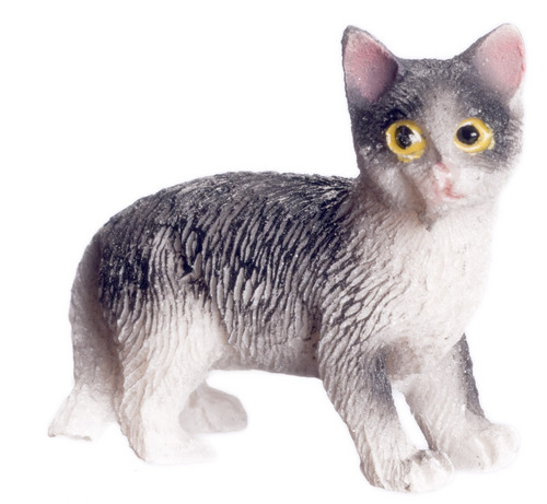 (image for) Black and White Cat Standing - Click Image to Close