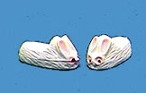 (image for) Bunny Slippers, White with Pink