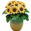 (image for) Sunflowers in a Yellow/Tan Glazed Pot